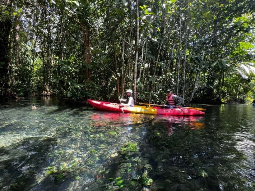 Klong Rud Kayaking with Hotel Transfer - Paddling the forest edge of Klong Nam Sai