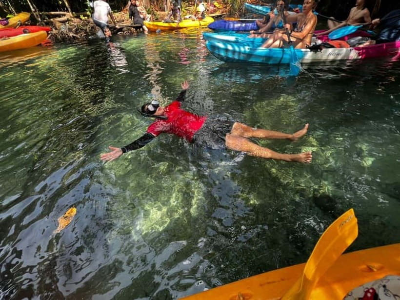 Klong Rud Kayaking with Hotel Transfer - Practical advice for a smoother morning