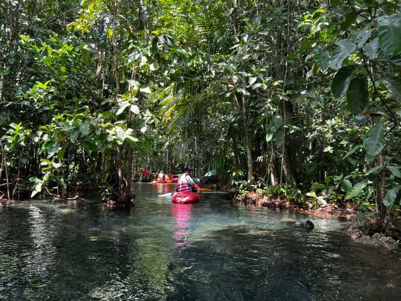 Klong Rud Kayaking with Hotel Transfer - From Ao Nang to Klongroot Viewpoint Pier