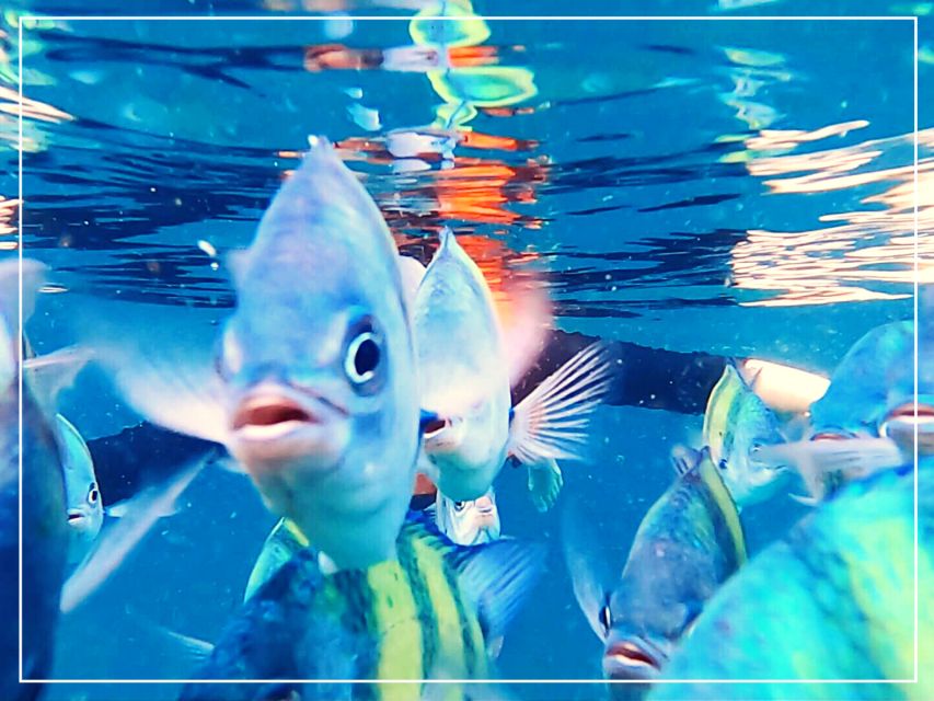 Ko Lanta: 4 Islands Snorkeling Tour by Longtail Boat - Swimming into the Emerald Cave