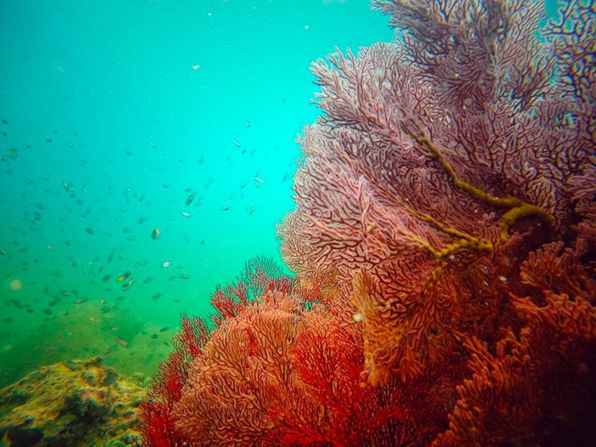 Ko Lanta: 4 Islands Snorkeling Tour by Longtail Boat - Lunch and free time on Koh Ngai