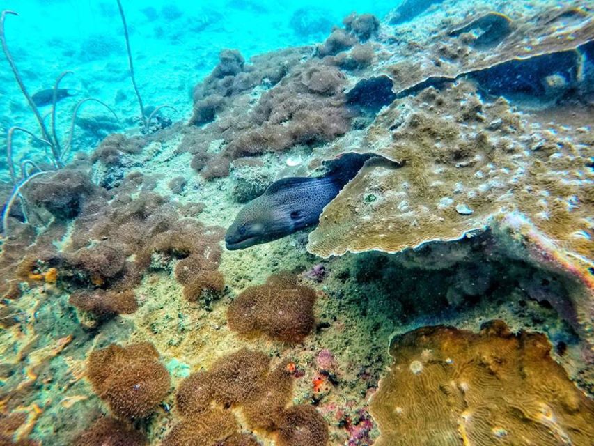 Ko Lanta: 4 Islands Snorkeling Tour by Longtail Boat - The morning pickup and ride to the islands