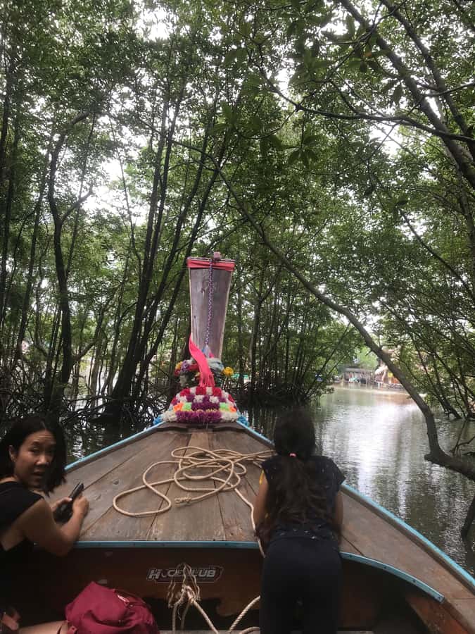Ko Lanta: EXPLORE MANGROVE TOUR BY LONGTAIL BOAT WITH LUNCH - Key points to know before you book