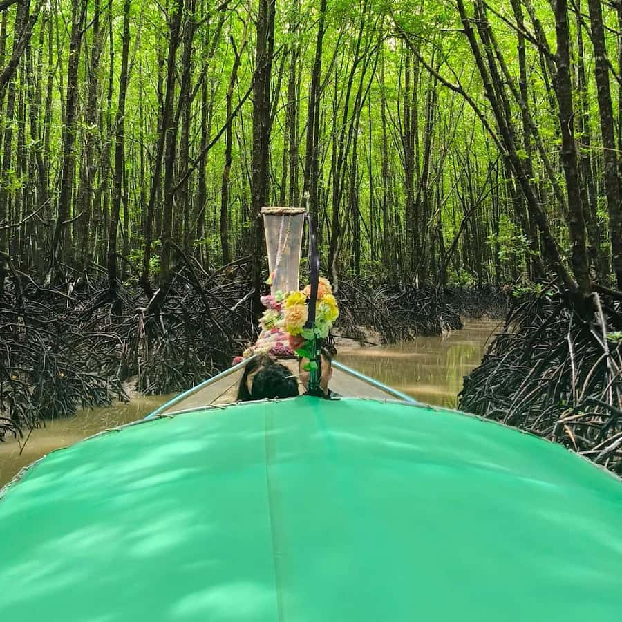 Ko Lanta: EXPLORE MANGROVE TOUR BY LONGTAIL BOAT WITH LUNCH - A quiet look at Ko Lanta’s mangrove country