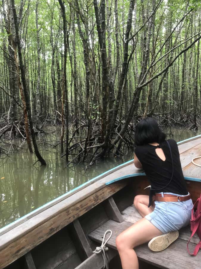 Ko Lanta: EXPLORE MANGROVE TOUR BY LONGTAIL BOAT WITH LUNCH - Lunch at Mangrove Seafood Restaurant
