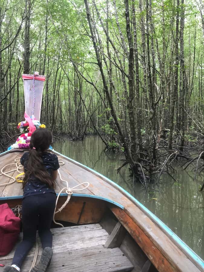 Ko Lanta: EXPLORE MANGROVE TOUR BY LONGTAIL BOAT WITH LUNCH - Timing, comfort, and who should come