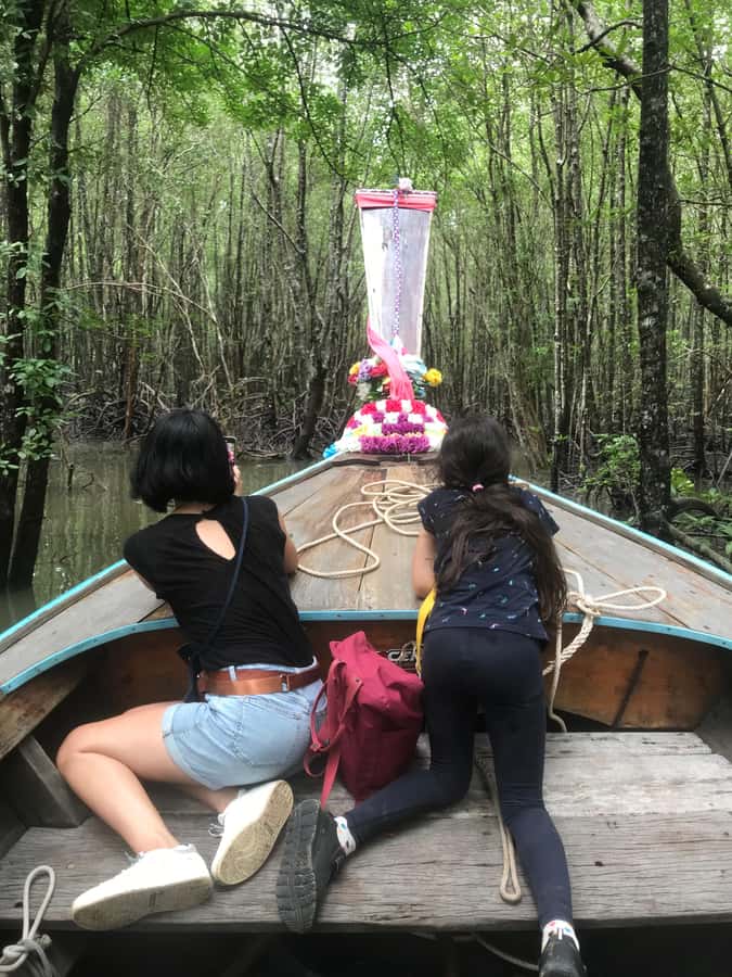 Ko Lanta: EXPLORE MANGROVE TOUR BY LONGTAIL BOAT WITH LUNCH - Should you book this mangrove tour?