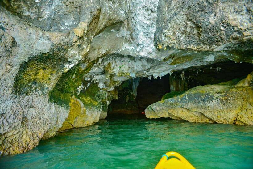 Ko Lanta: Full-Day Mangrove and Sea Cave Kayaking Experience - Should you book the Koh Lanta mangrove and cave tour?