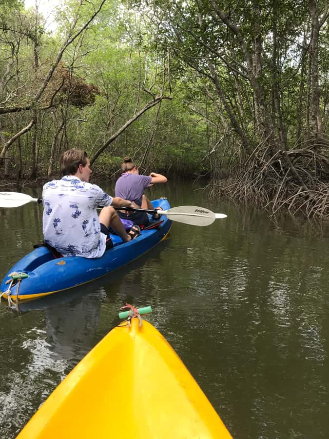 Ko Lanta: HALF DAY EXPLORE MANGROVE KAYAKING TOUR AND LUNCH - Why Ko Lanta’s mangroves are worth your morning