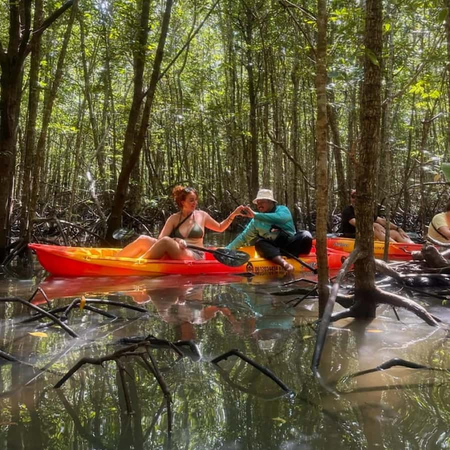 Ko Lanta: HALF DAY EXPLORE MANGROVE KAYAKING TOUR AND LUNCH - Paddling into the mangrove forest