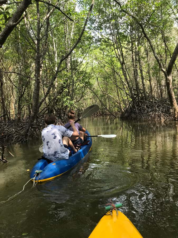 Ko Lanta: HALF DAY EXPLORE MANGROVE KAYAKING TOUR AND LUNCH - The fish farm and mangrove restaurant lunch