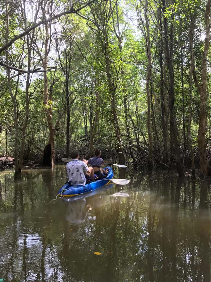 Ko Lanta: HALF DAY EXPLORE MANGROVE KAYAKING TOUR AND LUNCH - What the guide adds to the outing