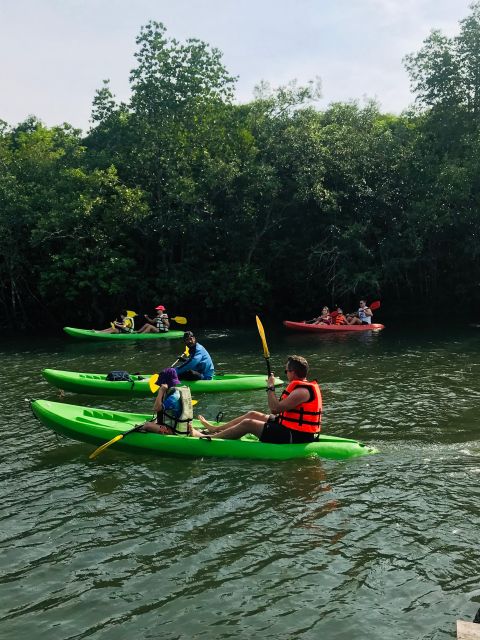 Ko Lanta: Half-Day Mangrove Kayaking Tour with Lunch - Should you book the Ban Thung Yee Peng tour?