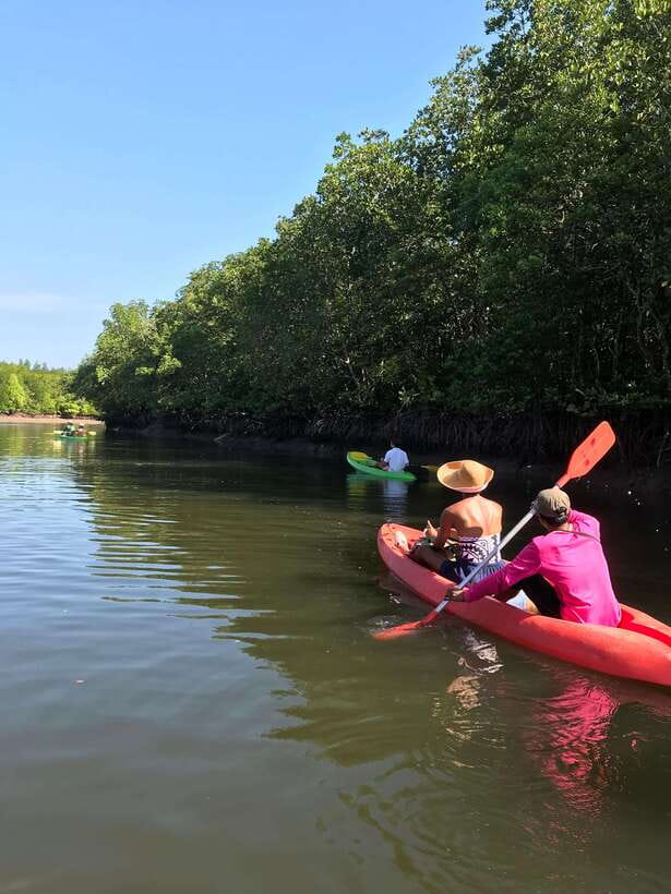 Ko Lanta: Half-Day Mangrove Kayaking Tour with Lunch - The monkey stop requires a little discipline