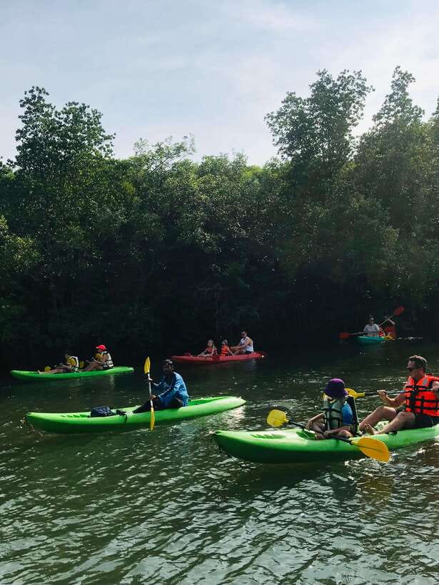 Ko Lanta: Half-Day Mangrove Kayaking Tour with Lunch - Rain is part of the setting, not a deal breaker
