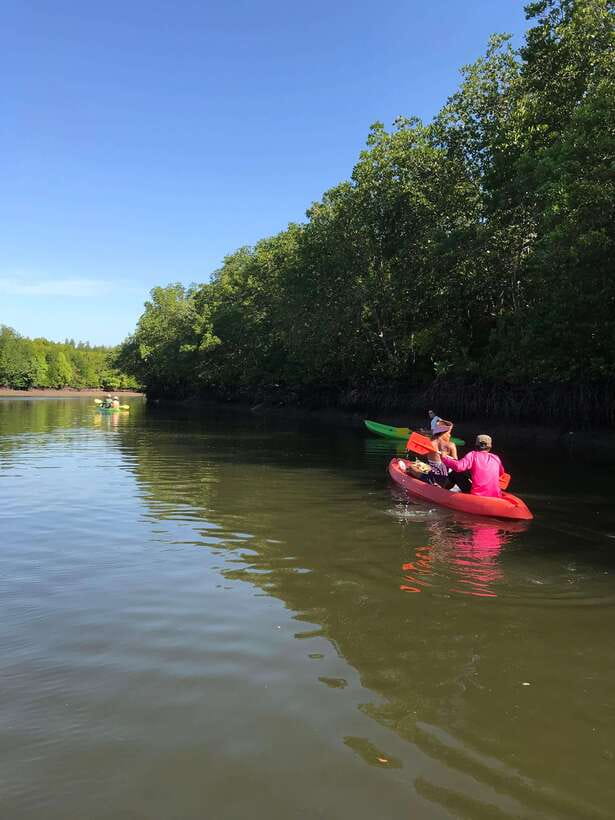 Ko Lanta: Half-Day Mangrove Kayaking Tour with Lunch - Who will enjoy this Ko Lanta kayaking trip