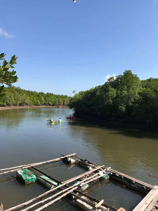 Ko Lanta: Half-Day Mangrove Kayaking Tour with Lunch - Practical tips for a smoother outing
