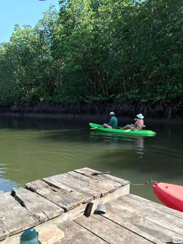 Ko Lanta: Half-Day Mangrove Kayaking Tour with Lunch - Paddling under the mangrove canopy