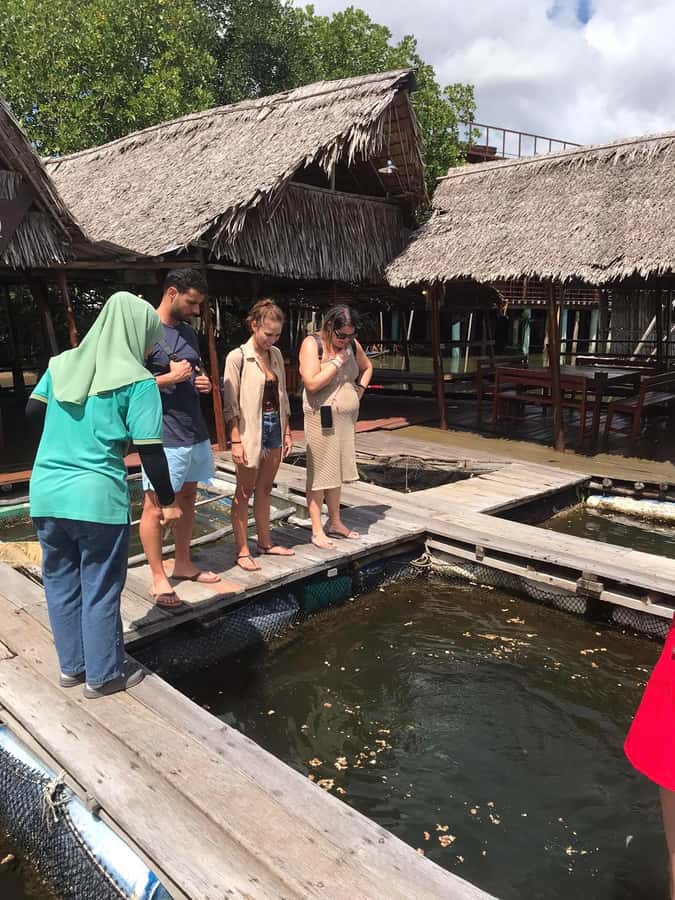 Ko Lanta: Half Day Tour Mangrove Boat Trip With Lunch - Practical tips for a smoother outing