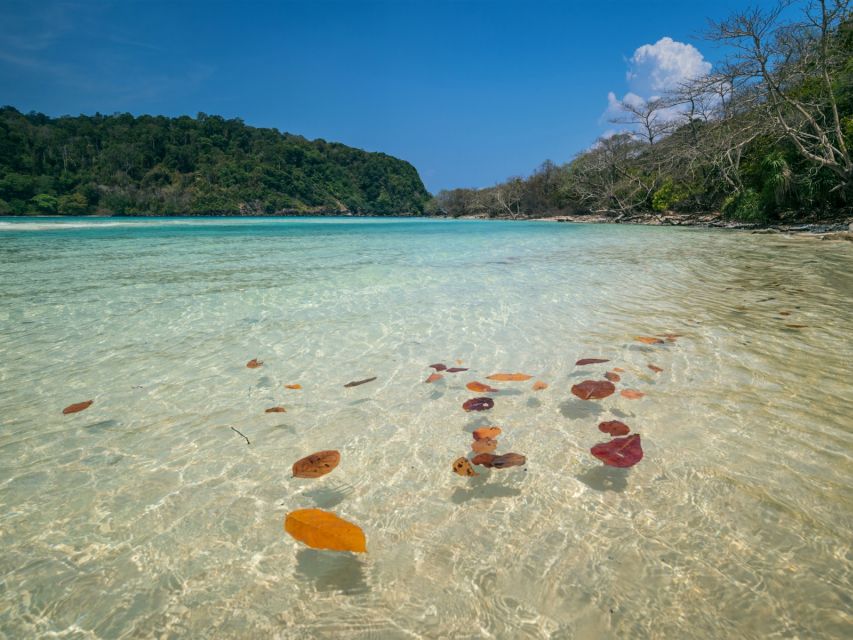 Ko Lanta: Koh Rok & Koh Haa Snorkelling Tour by Speedboat - Should you book the Koh Rok and Koh Haa tour?