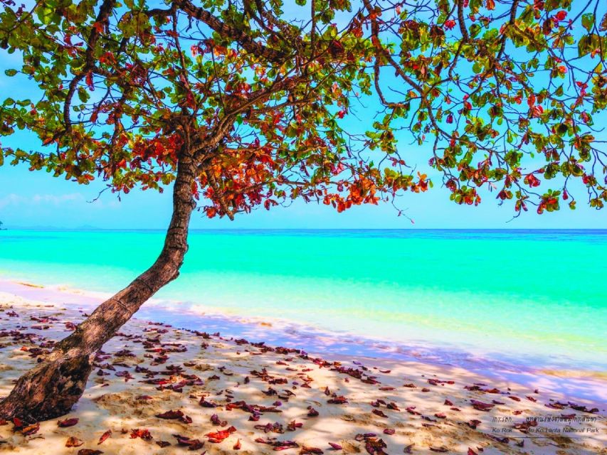 Ko Lanta: Koh Rok & Koh Haa Snorkelling Tour by Speedboat - Noon on a white beach