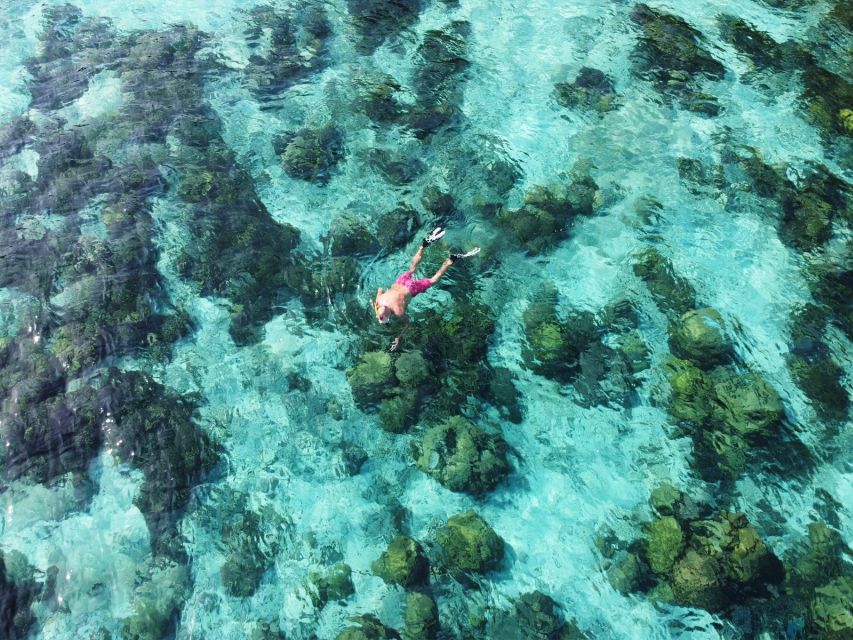 Ko Lanta: Koh Rok & Koh Haa Snorkelling Tour by Speedboat - What the $59 price covers