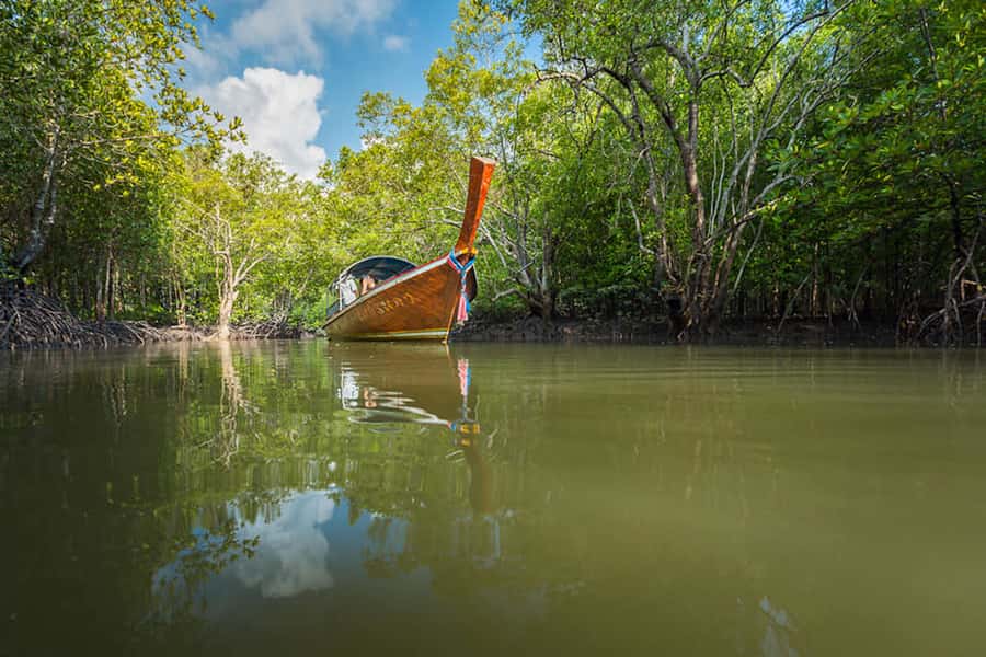 Ko Lanta: Mangrove Forest Boat Tour with Lunch or Dinner - Key points to know before you book