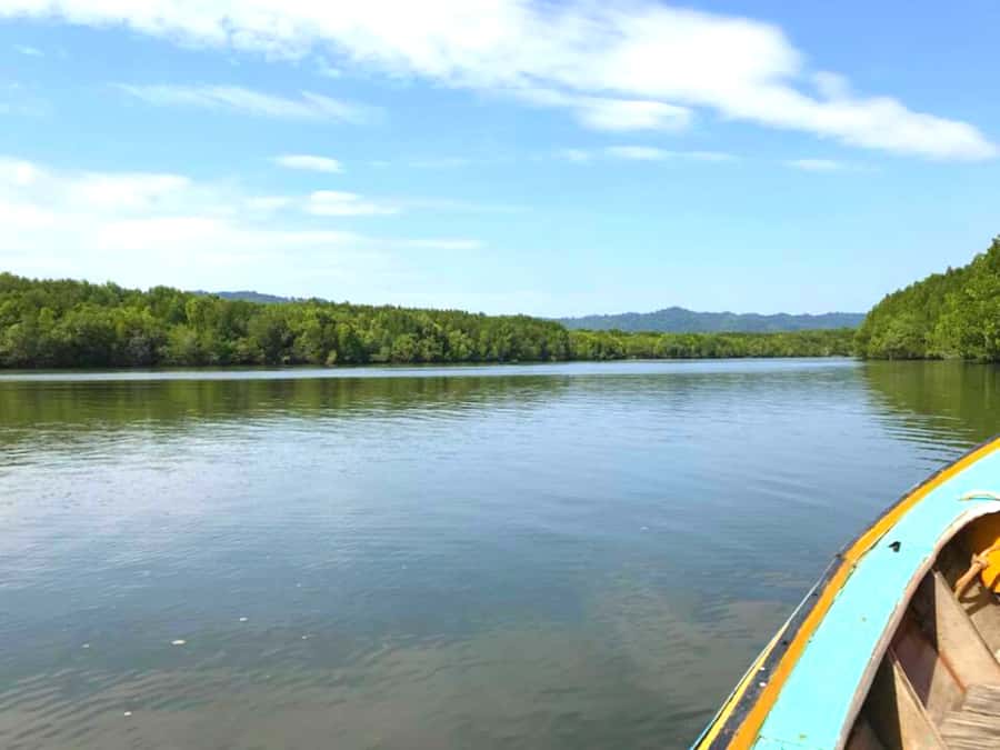 Ko Lanta: Mangrove Forest Boat Tour with Lunch or Dinner - What the guide adds to the boat ride