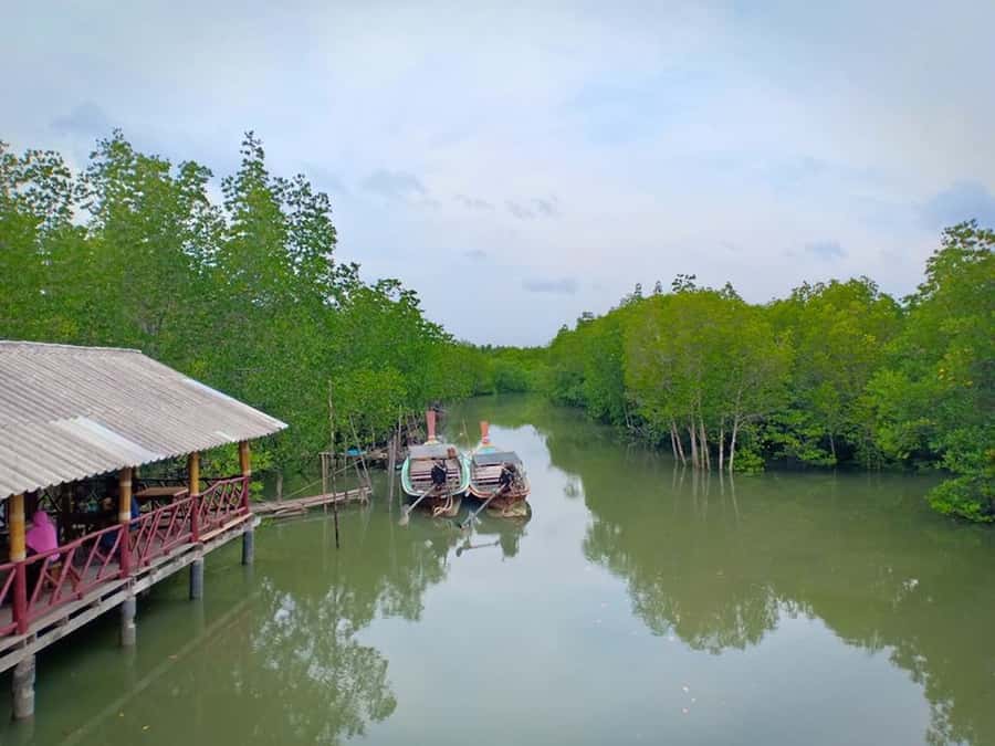 Ko Lanta: Mangrove Forest Boat Tour with Lunch or Dinner - Lunch or dinner at a local restaurant