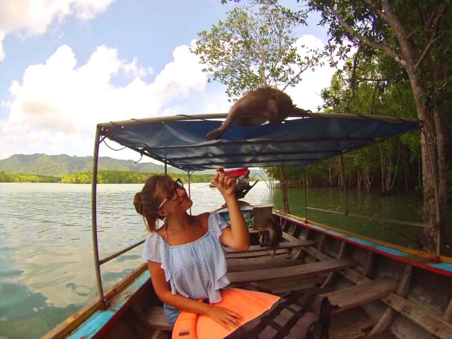Ko Lanta: Mangrove Forest Boat Tour with Lunch or Dinner - Pick-up times from Ko Lanta resorts