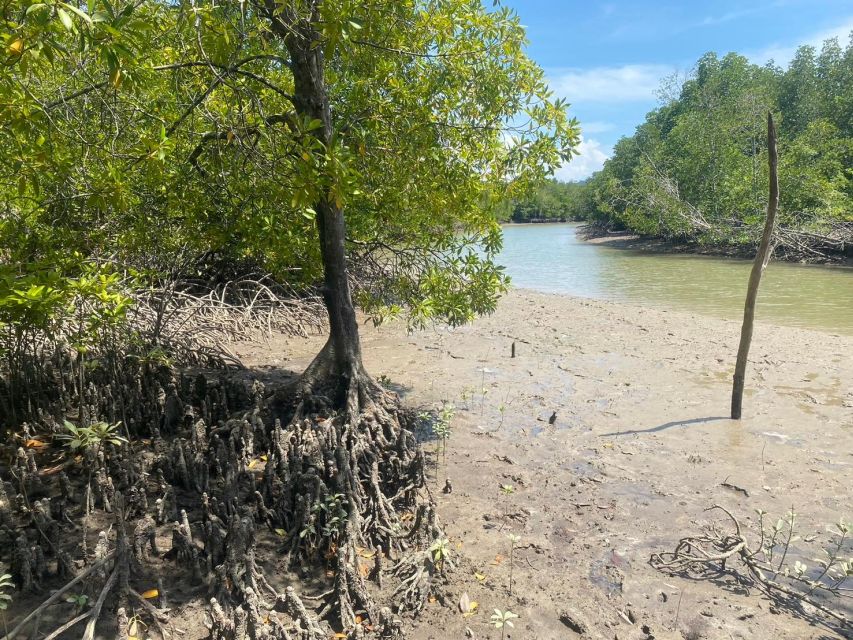 Ko Lanta: Mangrove Kayaking, Ko Talabeng, & Skull Island - Guide style and group atmosphere