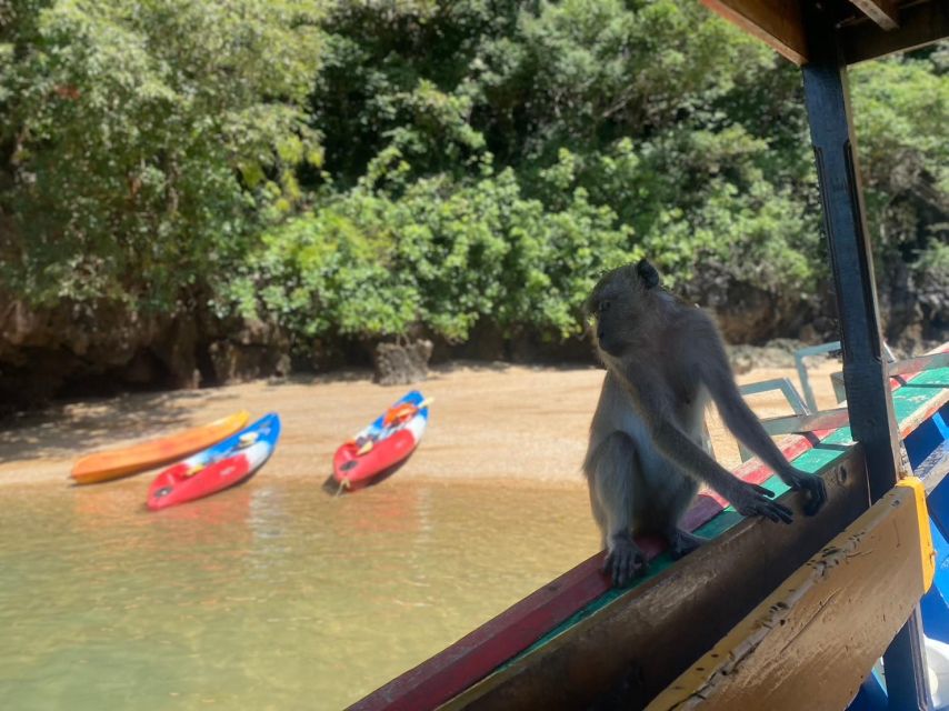 Ko Lanta: Mangrove Kayaking, Ko Talabeng, & Skull Island - Why this Ko Lanta trip feels different