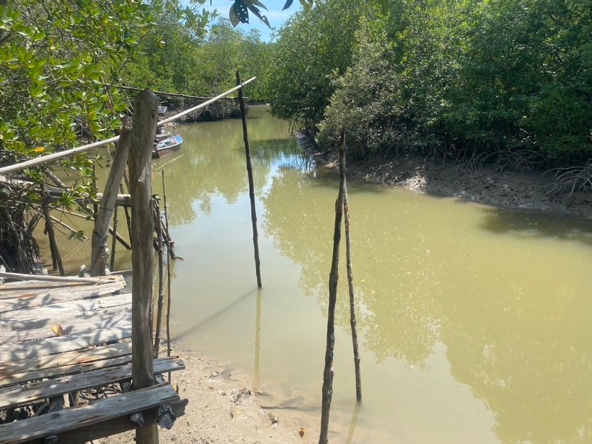 Ko Lanta: Mangrove Kayaking, Ko Talabeng, & Skull Island - Sea kayaking around Ko Talabeng