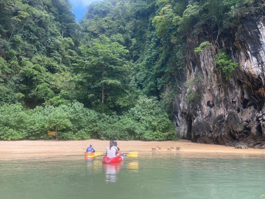 Ko Lanta: Mangrove Kayaking, Ko Talabeng, & Skull Island - Wildlife is part of the day, not a guarantee