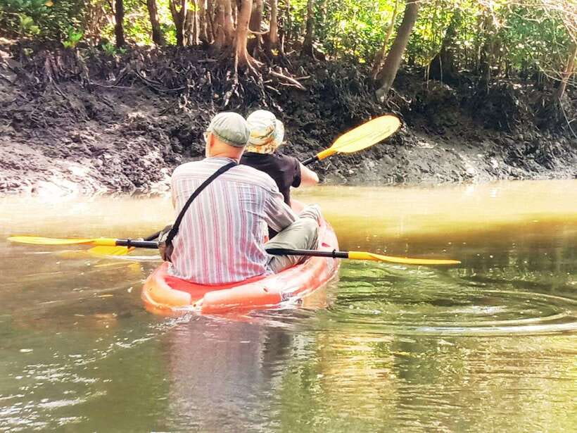 Ko Lanta: Mangrove Kayaking with Lunch and Hotel Transfer - Practical tips for a smoother paddle