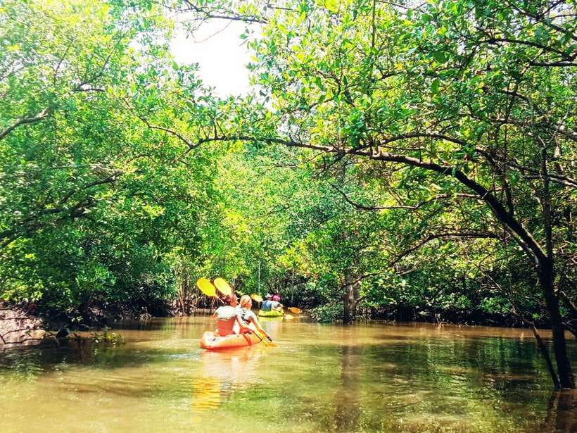 Ko Lanta: Mangrove Kayaking with Lunch and Hotel Transfer - Paddling through the mangrove channels