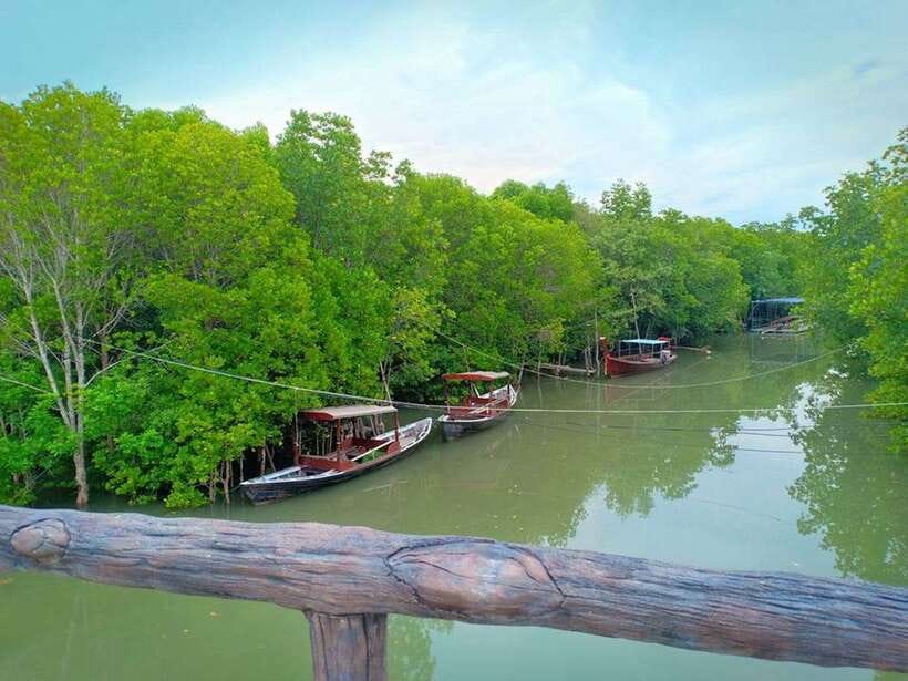 Ko Lanta: Mangrove Kayaking with Lunch and Hotel Transfer - Lunch, dinner, fruit, and drinking water