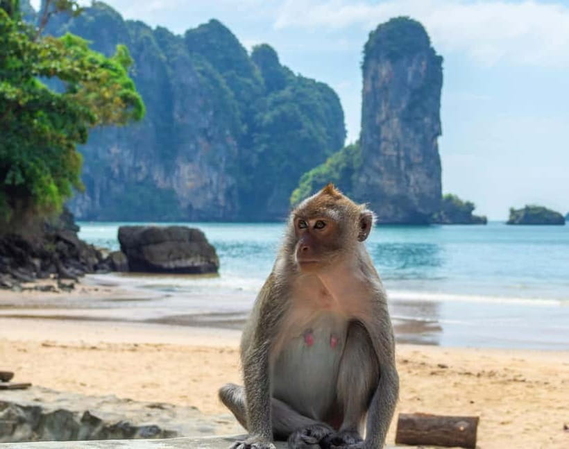 Ko Lanta: Private Exploration– Mangroves, Old Town & Beaches - Mu Ko Lanta National Park and its lighthouse view