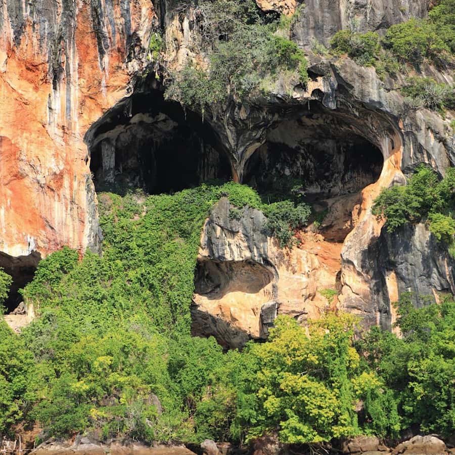 Ko Lanta: Sea Cave Kayaking Adventure Mangrove with Lunch - Tung Yee Peng brings mangroves and monkeys into the trip