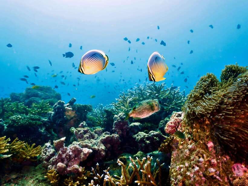 Ko Lanta: Snorkeling Adventure Tour to Koh Rok and Koh Haa - Koh Haa and the Five Islands lagoon