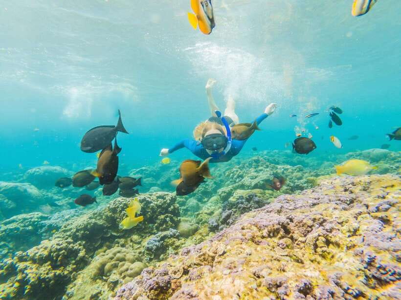 Ko Lanta: Snorkeling Adventure Tour to Koh Rok and Koh Haa - Should you book Koh Rok and Koh Haa?