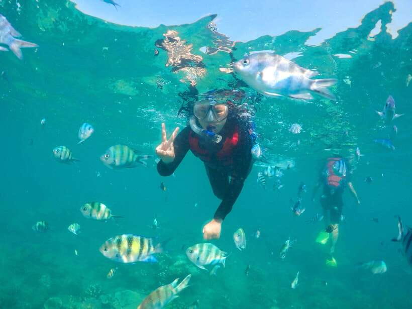 Ko Lanta: Unique 4-Island Long-Tail Snorkeling Tour w/ Lunch - Who will enjoy this island day most