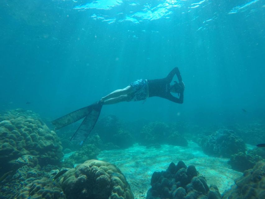 Ko Lipe: Outside Zone Snorkeling Trip by Longtail Boat - Why Ko Lipe’s outside zone is worth your time