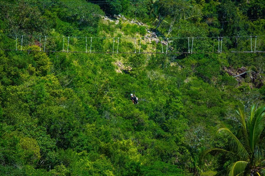 Ko Pha Ngan: Sky-High Zipline & Wang Sai Waterfall Views - Who will enjoy this most?