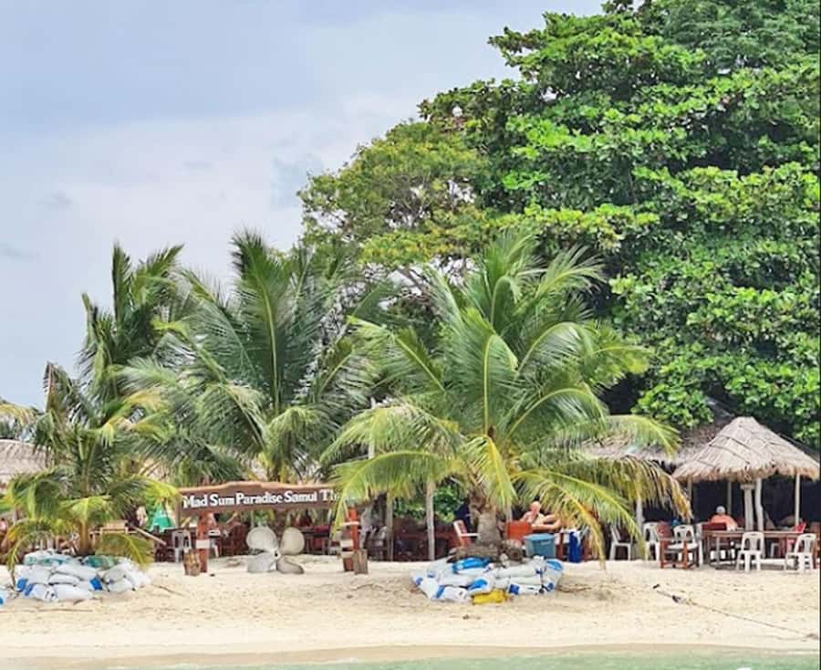 Ko Samui: Pig Island Snorkeling and Koh Tan Speedboat Tour - Morning or afternoon: which departure works best?