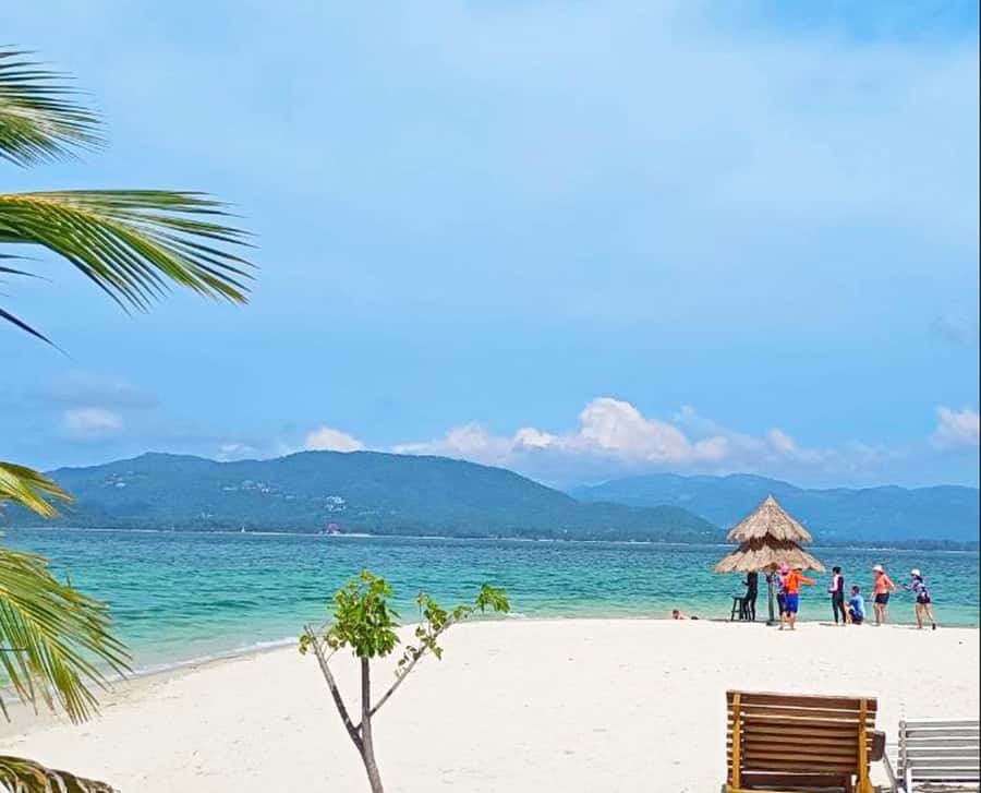 Ko Samui: Pig Island Snorkeling and Koh Tan Speedboat Tour - What the $51 price really covers