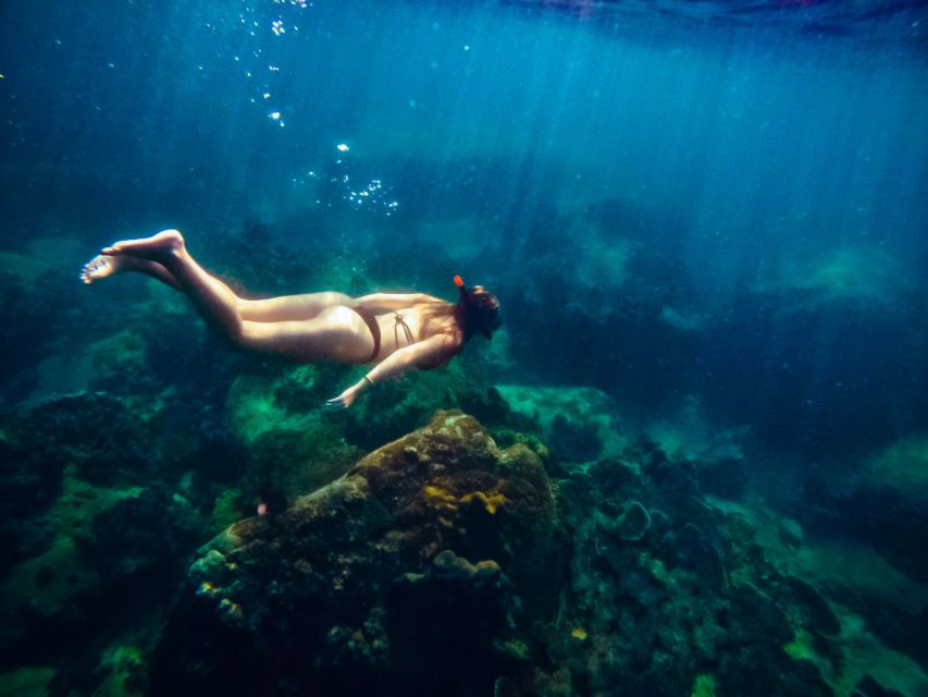 Ko Tao: Late Riser Snorkeling Tour with Lunch and Photos - Hin Wong Bay brings coral and plenty of fish