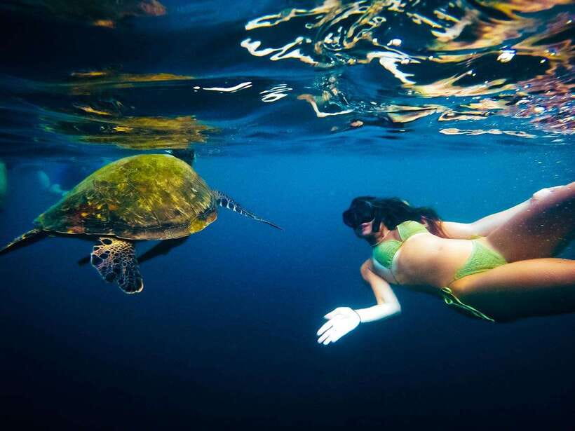 Ko Tao: Late Riser Snorkeling Tour with Lunch and Photos - What the $28 price really covers