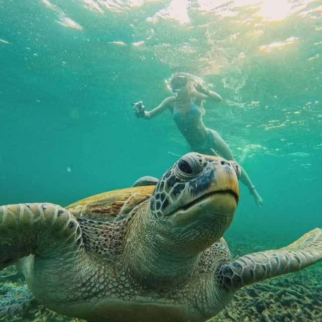 Ko Tao: Tao-Nangyuan Snorkeling Day Trip with Meals & Sunset - Food, equipment, and comfort details