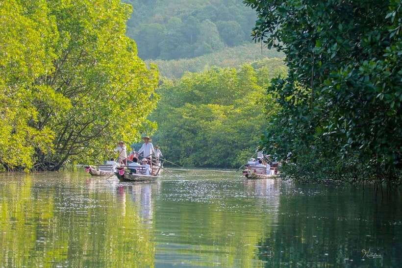 Koh Chang: Mangrove Forest Gondola Tour - A quiet boat ride through Salak Khok